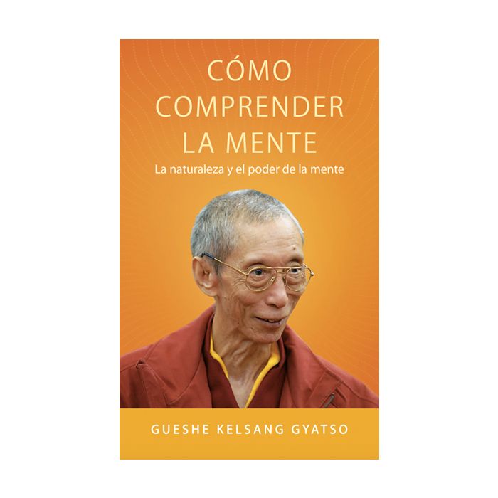Cómo comprender la mente