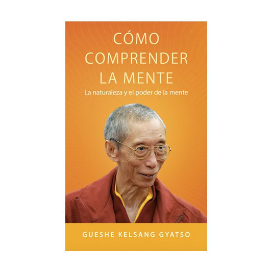 Cómo comprender la mente