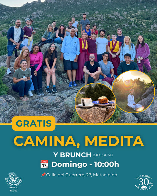 Camina, Medita y Brunch