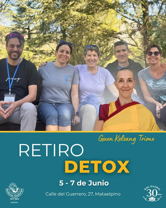 Retiro Detox